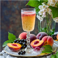 Champagne Toasts* Fragrance Oil 19896